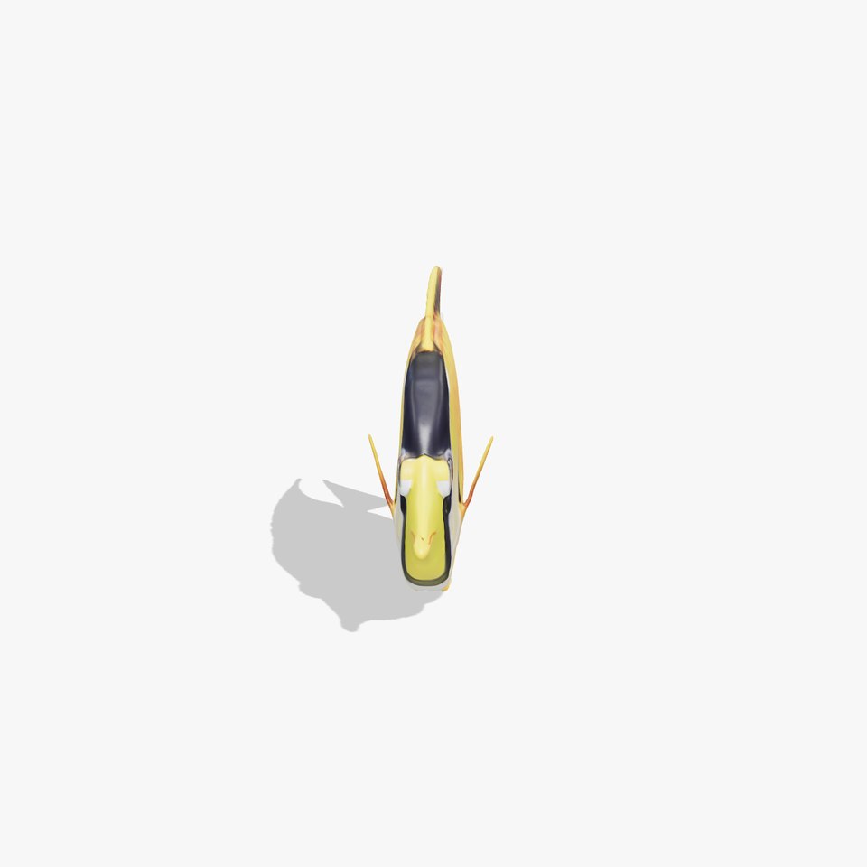 Vibrant Yellow Fish Model Pack with PBR Textures